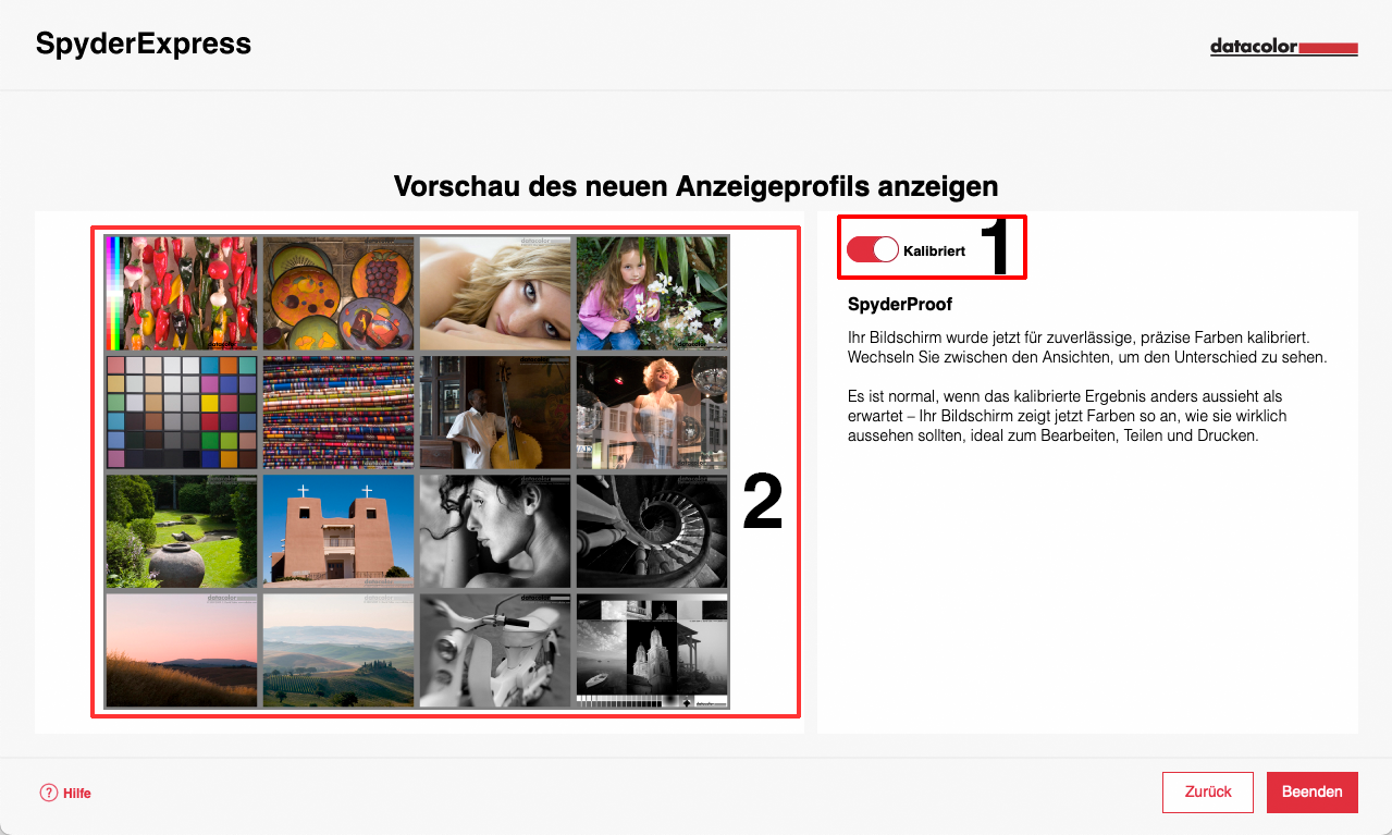 SpyderExpress Verify Numbered DE.png